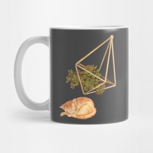 Geometric Succulent Planter and Cat Mug